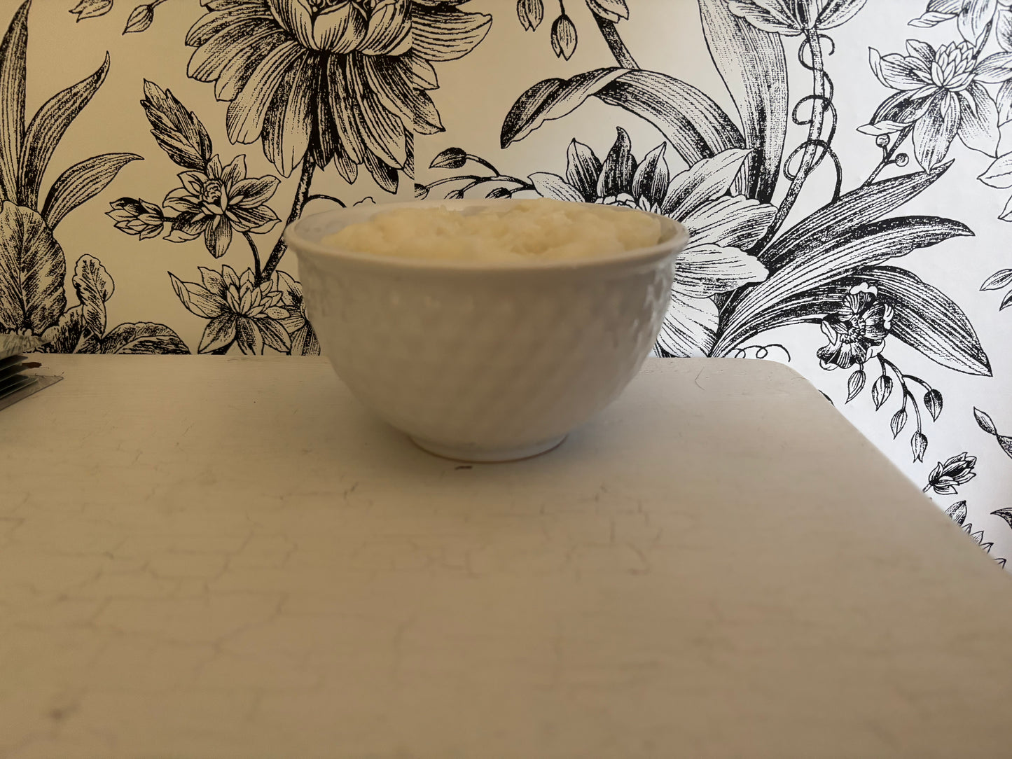 Eucalyptus Lemon Castile Dish Soap #1